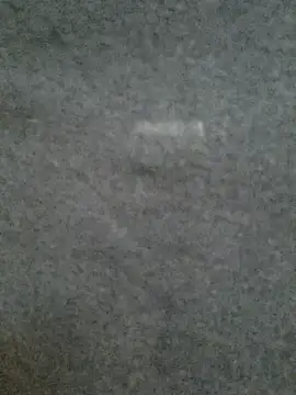 Desi Rider Aadi online show from 11.08.25