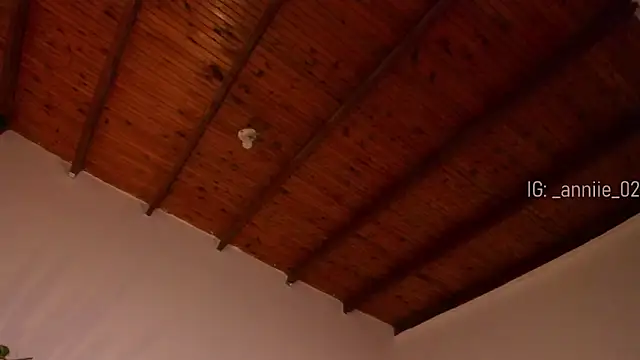 annie barozzi online show from 01.03.25