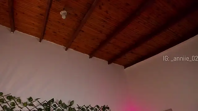 annie barozzi online show from 01.16.25