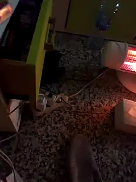 GeorgeTatiana online show from 12.15.24