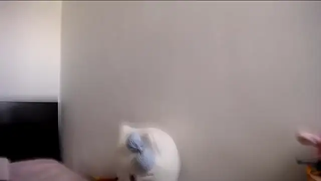 Snapshot of MARIANADIRTY chatting on 11.11.25 MARIANADIRTY online show from 11.11.25