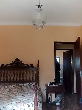 White rabbit  online show from 12.08.24