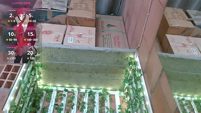 Snapshot of belindathompson chatting on 02.25.25 belindathompson online show from 02.25.25