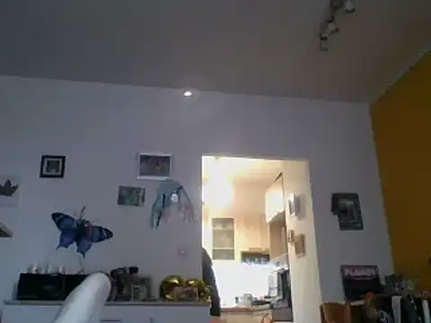 Snapshot of 82liska chatting on 11.09.25 82liska online show from 11.09.25