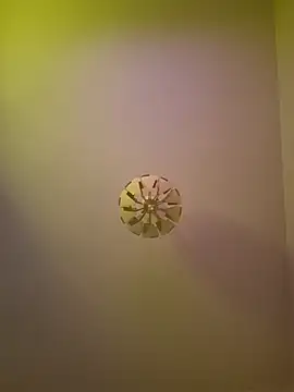 cuci45 online show from 10.11.25