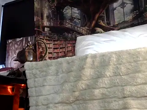 OSIRlS online show from 01.26.25