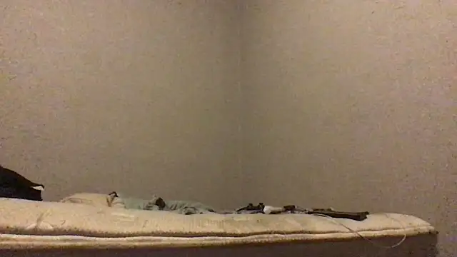 mondo29 online show from 12.07.24