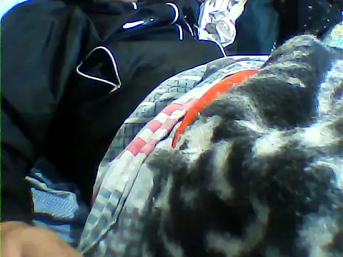 Snapshot of messi_syssy chatting on 09.25.25 messi syssy online show from 09.25.25