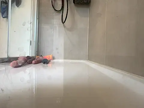 angelus112 online show from 03.29.26