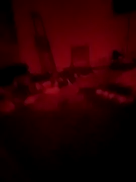 Iliev950 online show from 02.20.26