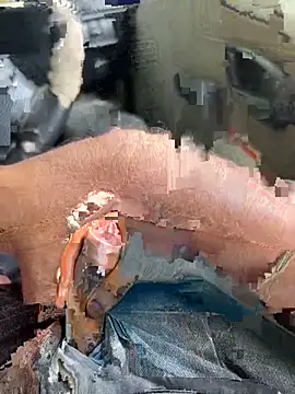 Dakku 69 online show from 03.04.26