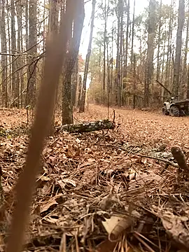 Themechanic420 online show from 12.14.24