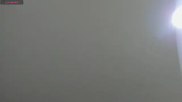 natasha logan  online show from 03.17.25