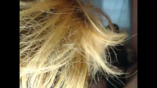 lover 1994 online show from 03.27.26