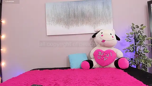 Briana Wells  online show from 11.19.25