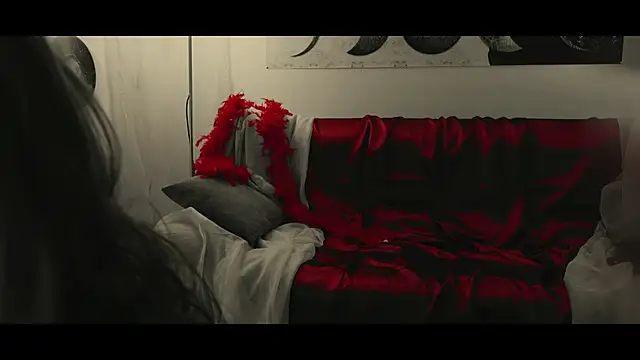 Snapshot of WebCora chatting on 01.17.25 WebCora online show from 01.17.25