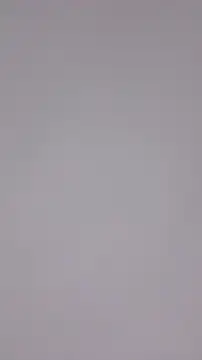 Maple Honeycome online show from 12.22.24