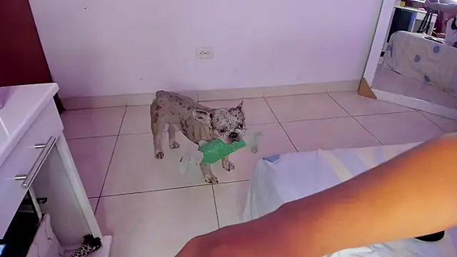 SophiieWilson  online show from 10.27.25