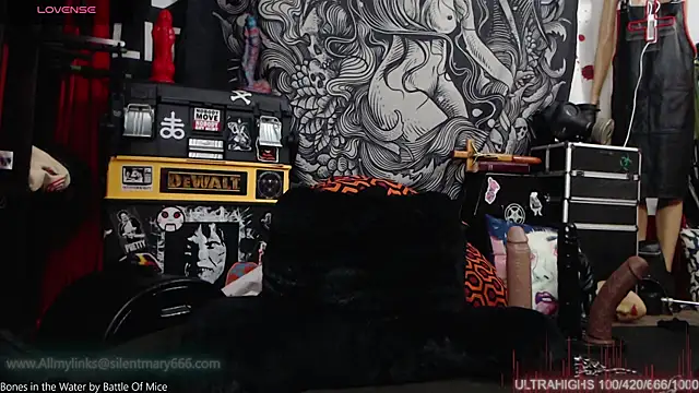 Silentmary online show from 12.15.24