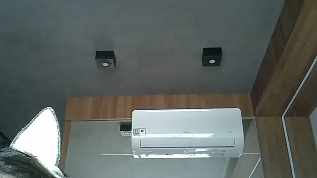 Skinny-Kitten online show from 10.09.25