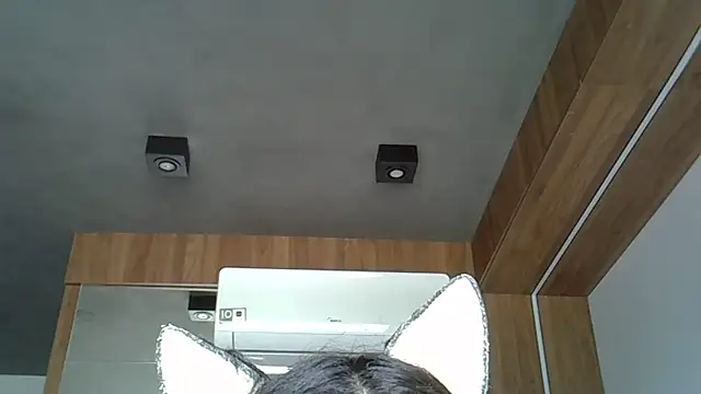 Skinny-Kitten online show from 10.12.25