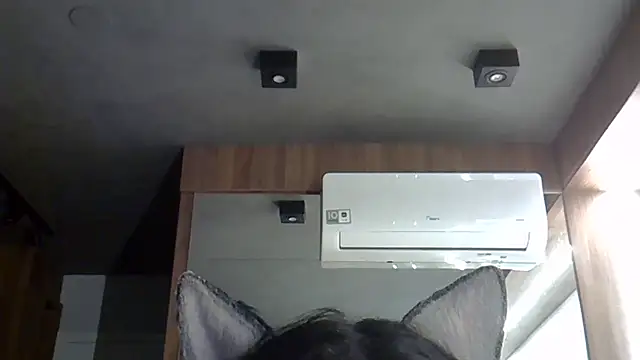 Skinny-Kitten online show from 10.20.25