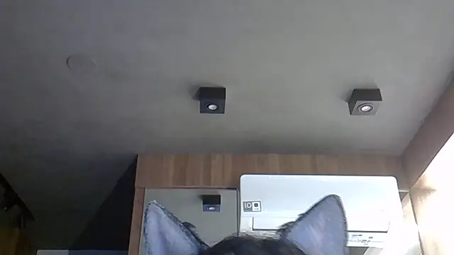 Skinny-Kitten online show from 10.31.25