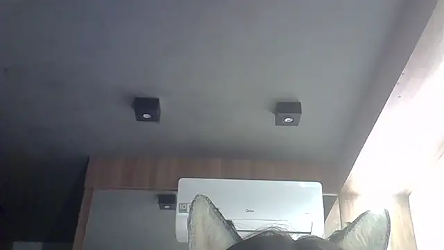 Skinny-Kitten online show from 02.22.26