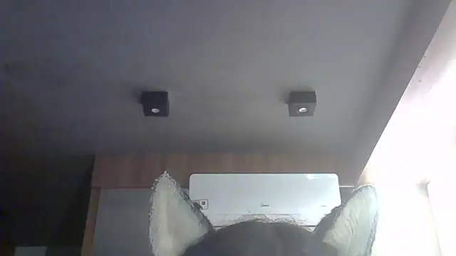 Skinny-Kitten online show from 03.14.26