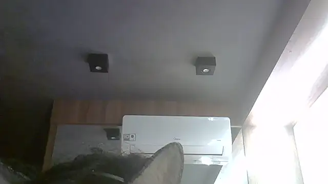 Skinny-Kitten online show from 05.31.26