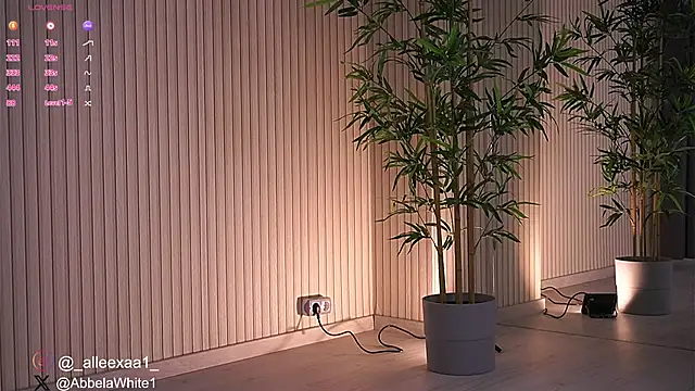 Abbela White online show from 01.27.25