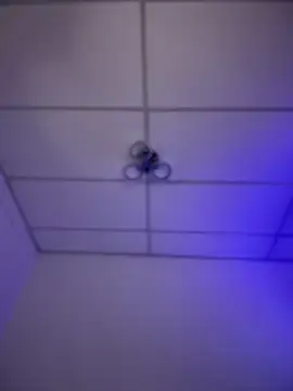 Charly  online show from 11.16.25