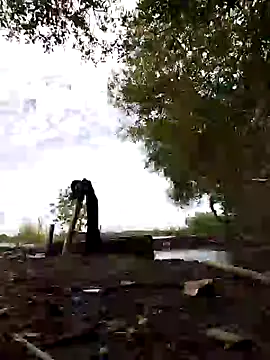 Dwirosebig online show from 01.12.25