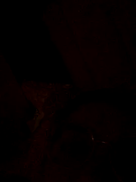 nalalye cruzz  online show from 09.29.25