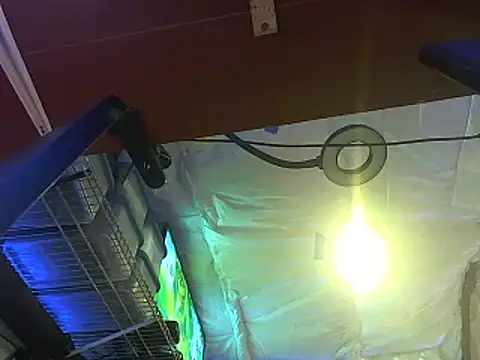 Snapshot of CloudDadddyyy420 chatting on 10.15.25 CloudDadddyyy420 online show from 10.15.25