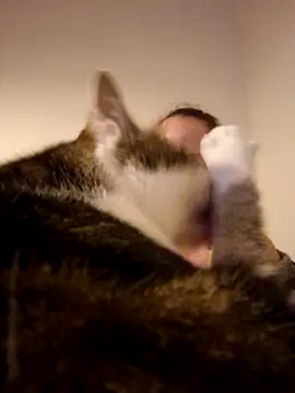 Snapshot of Wisie_Cutie chatting on 02.19.25 Wisie Cutie online show from 02.19.25