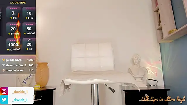 Snapshot of DavidC_ chatting on 02.17.25 DavidC online show from 02.17.25