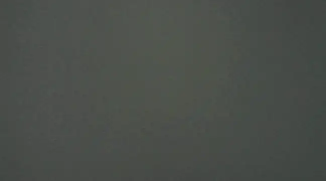 Snapshot of Gipoltergeist chatting on 12.09.24 Gipoltergeist online show from 12.09.24