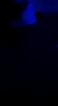 Snapshot of Midwestalpha chatting on 01.06.25 Midwestalpha online show from 01.06.25