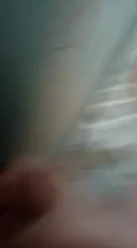 Sexis26 online show from 03.15.25