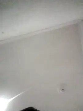 Snapshot of kevin613603 chatting on 02.11.26 kevin613603 online show from 02.11.26