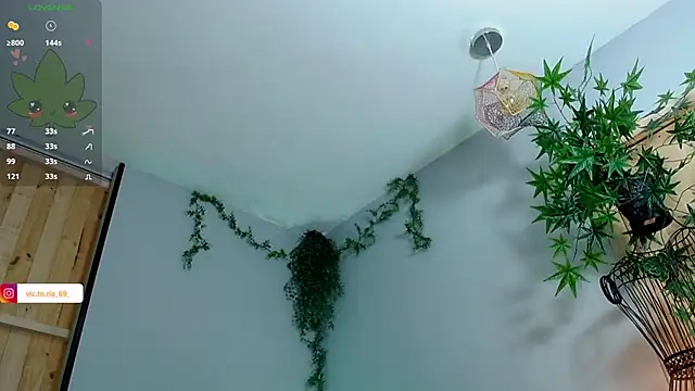 VickyJackson  online show from 02.01.25