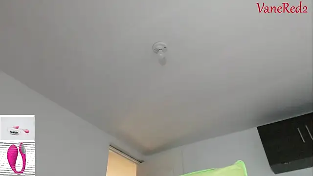 Snapshot of vanered2 chatting on 02.15.26 vanered2 online show from 02.15.26