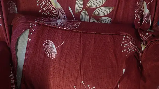 Snapshot of -AyeshaSinghania- chatting on 10.16.25 -AyeshaSinghania- online show from 10.16.25