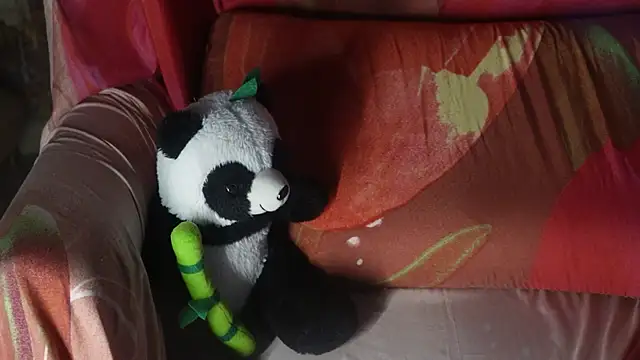 Snapshot of -AyeshaSinghania- chatting on 10.27.25 -AyeshaSinghania- online show from 10.27.25