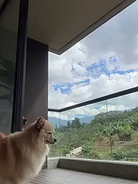 Snapshot of Helenbronwx chatting on 01.06.25 Helenbronwx online show from 01.06.25