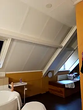 MarleneBloem online show from 12.31.24