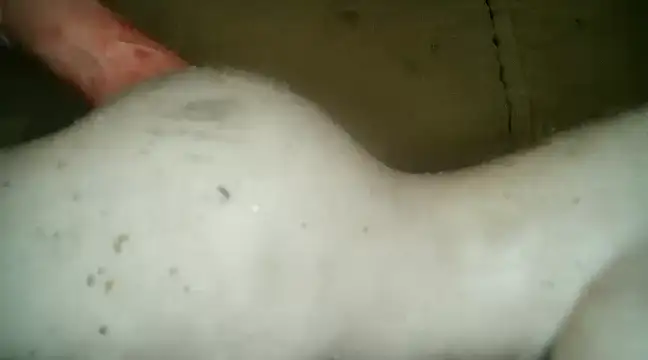 xxxlecram online show from 03.05.25