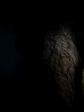 Bigcockmexi13 online show from 04.18.26