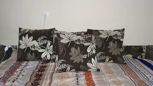 Snapshot of Nika_Shiny chatting on 02.16.25 Nika Shiny online show from 02.16.25